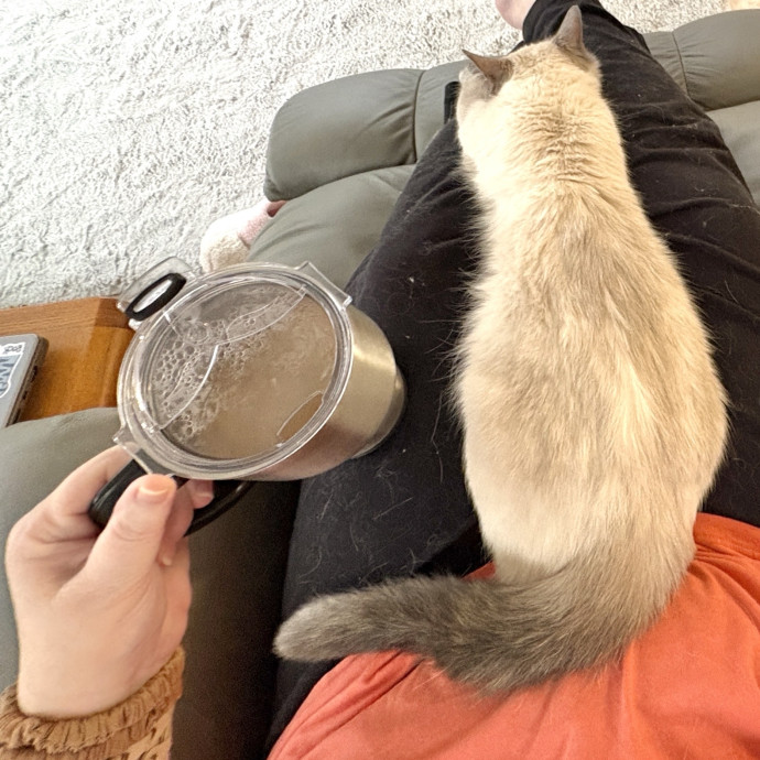 Your Whisker Whispurrer