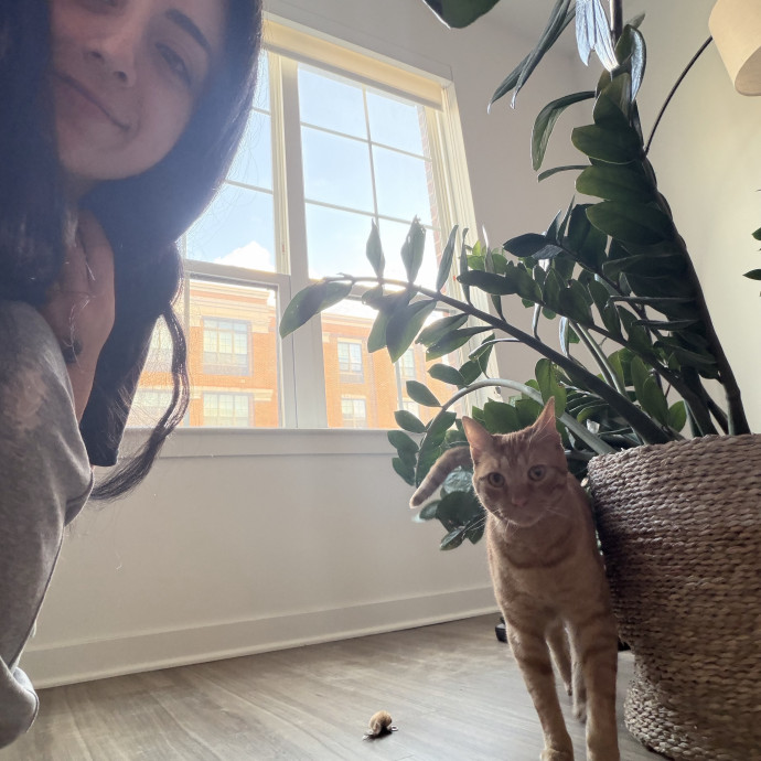 Professional Cat Treat Negotiator photo 3