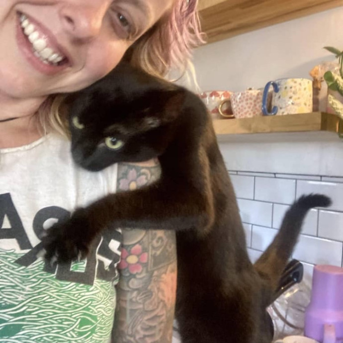 For Devine Felines