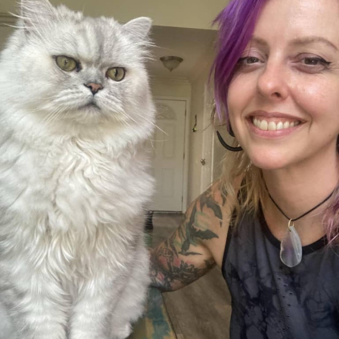 For Devine Felines
