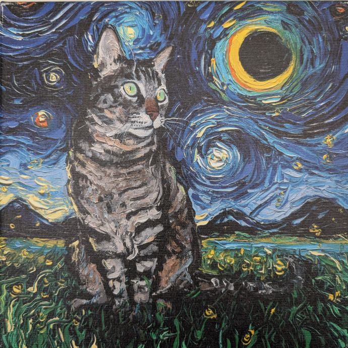 Court's Cats In Central Sd photo 3