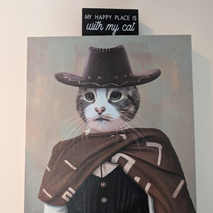 Court's Cats In Central Sd photo 2
