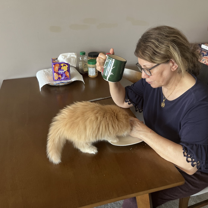 Loving Cat Care photo 2