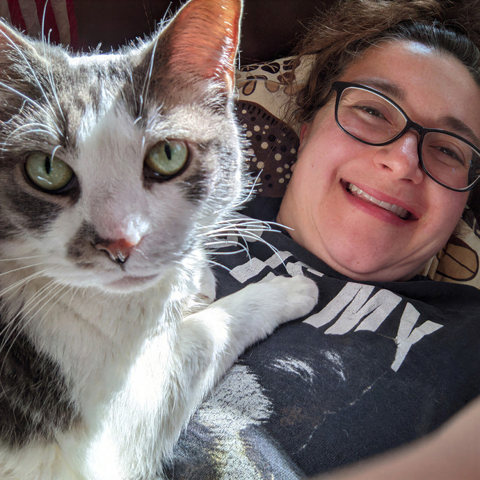 Cat Sitting Nurse In Connecticut