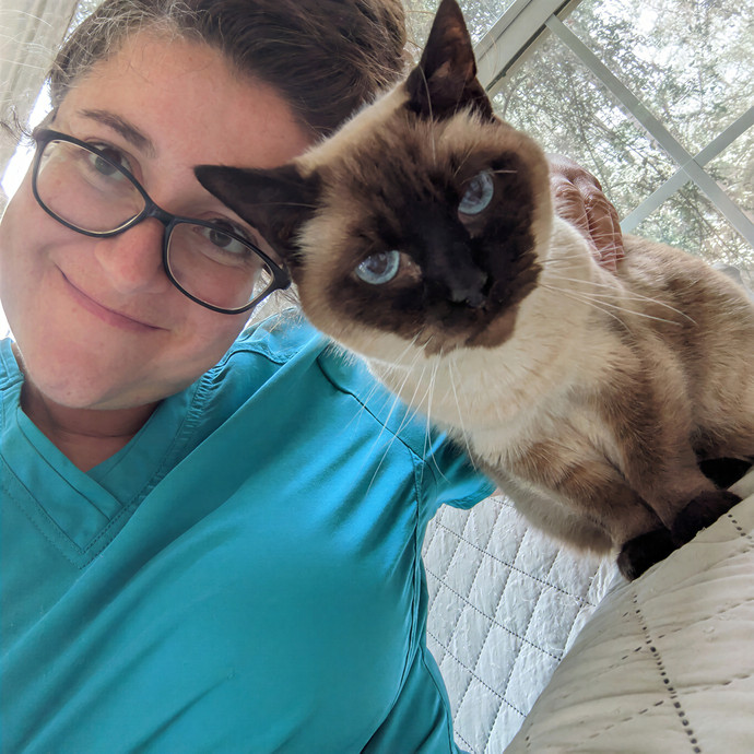 Cat Sitting Nurse In Connecticut