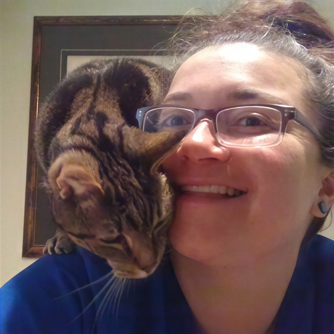 Cat Sitting Nurse In Connecticut