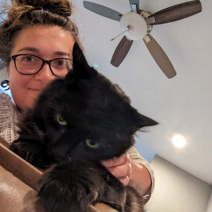 Cat Sitting Nurse In Connecticut