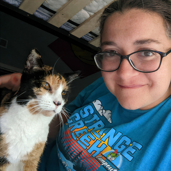 Cat Sitting Nurse In Connecticut photo 3