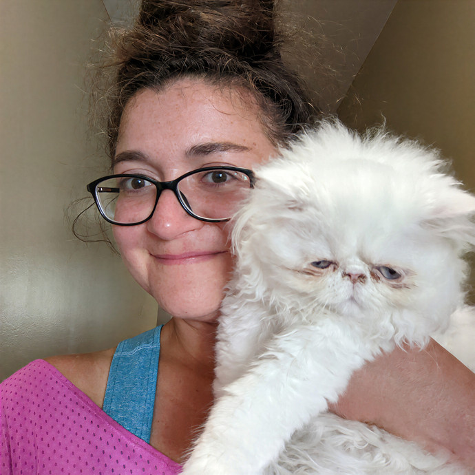 Cat Sitting Nurse In Connecticut photo 2