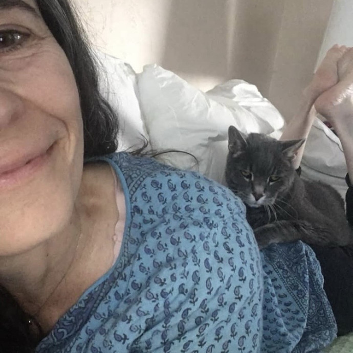 25 Years Of Kitty Whispering