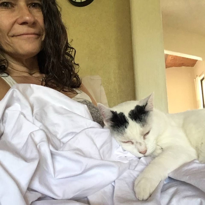 25 Years Of Kitty Whispering