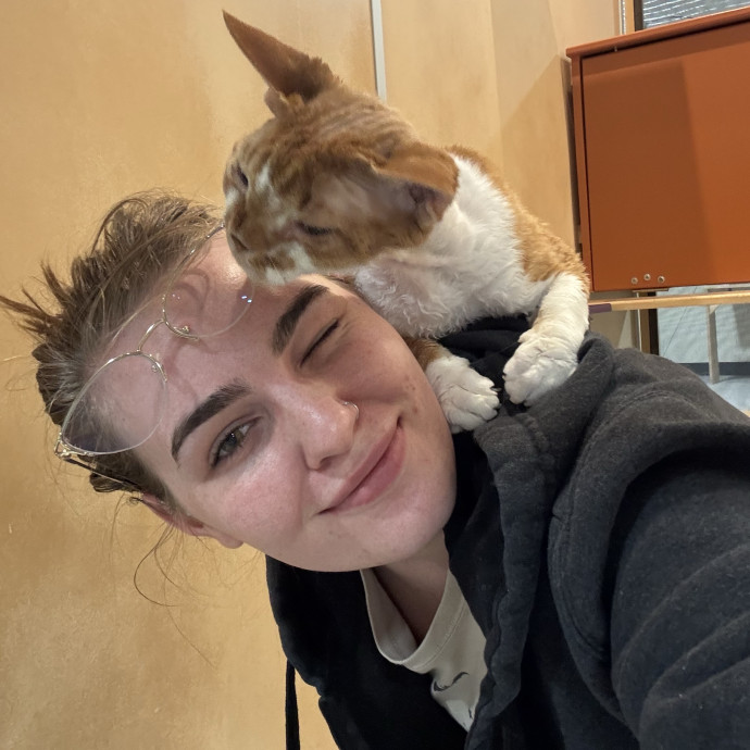 Purrfessional Kitty Sitter