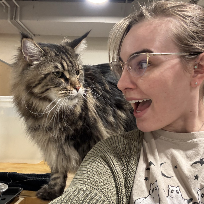 Purrfessional Kitty Sitter