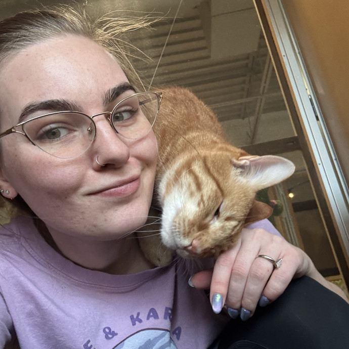 Purrfessional Kitty Sitter