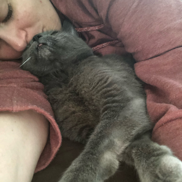 Former Cat-Mom Turned Cat-Sitter