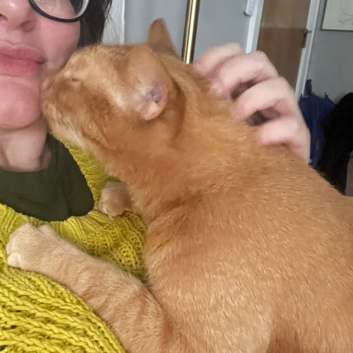 Former Cat-Mom Turned Cat-Sitter photo 3