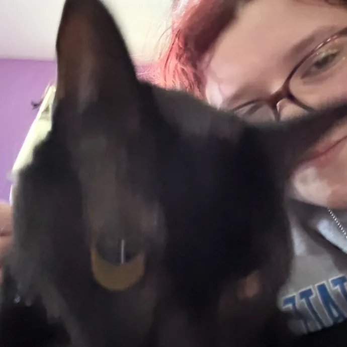 Caring Sitter With 5 Pets At Home photo 2