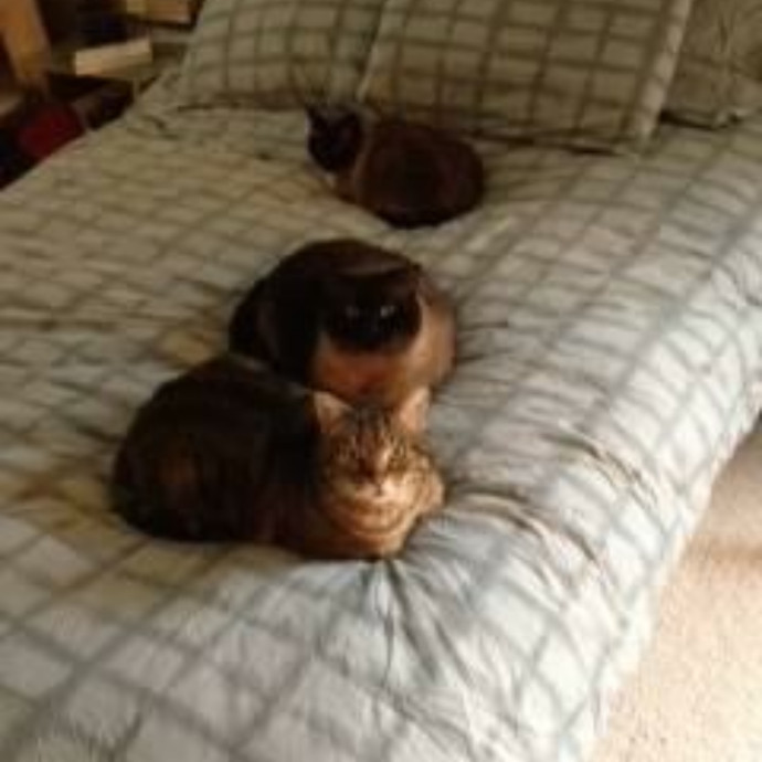 She Is Pawesome photo 2