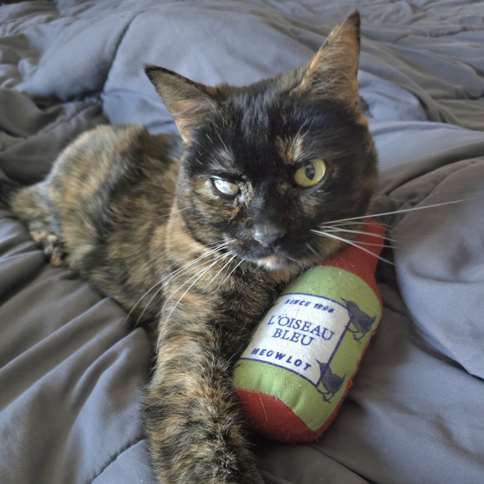 Purrfect Sitter
