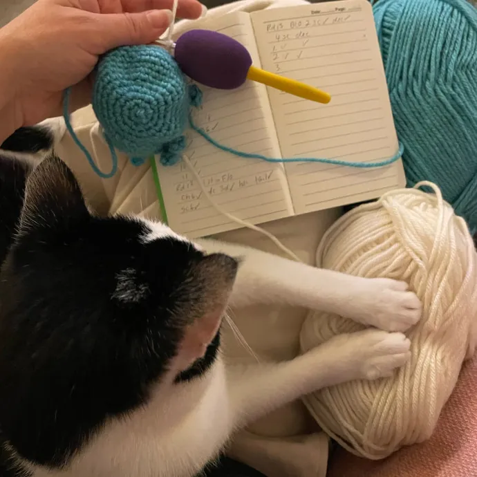 Cat Artist And Caregiver