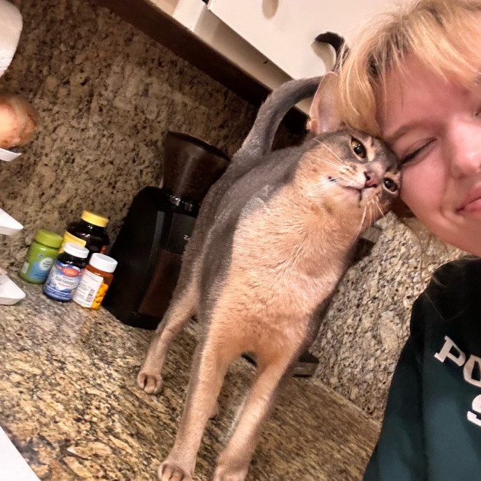 Trusted And Compassionate Cat Caregiver