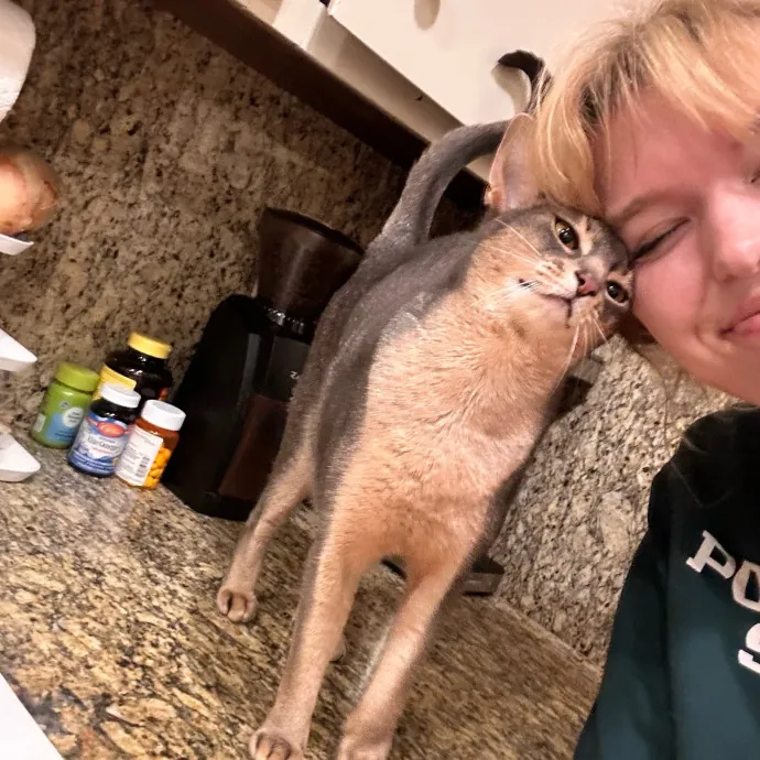 Trusted And Compassionate Cat Caregiver