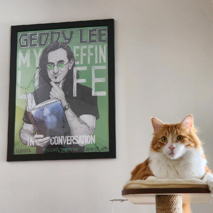 Cat Care Concierge