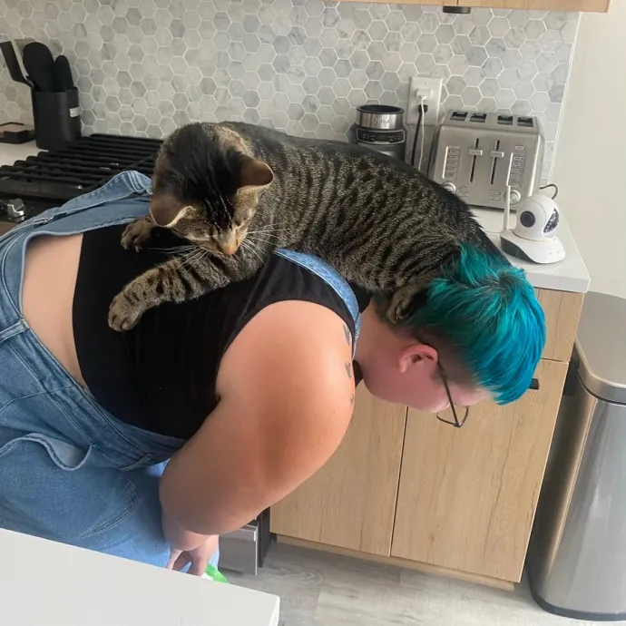 Elle's Kitty Care Of Cobb County