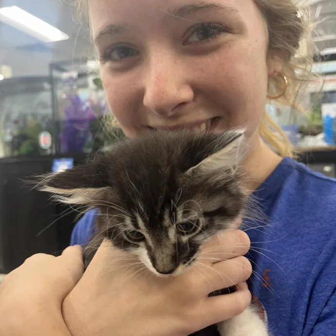 The Purrfect Person For Your Cats