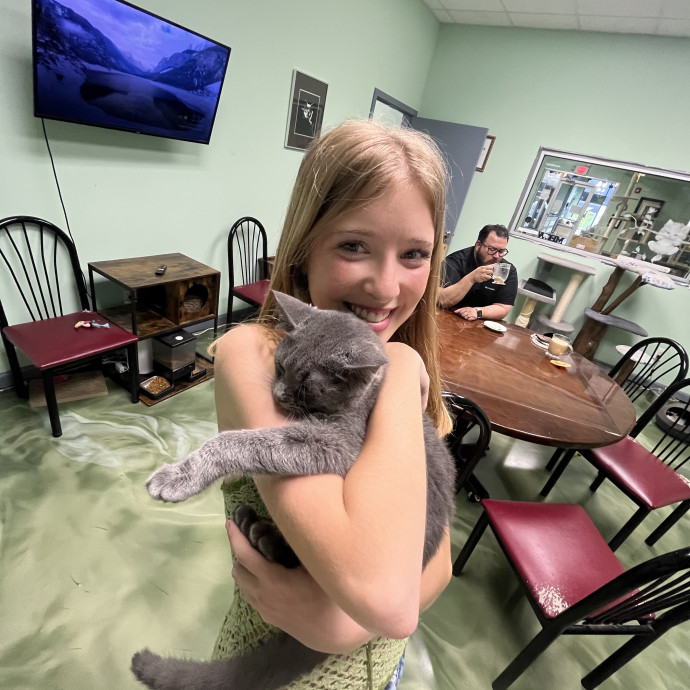The Purrfect Pick