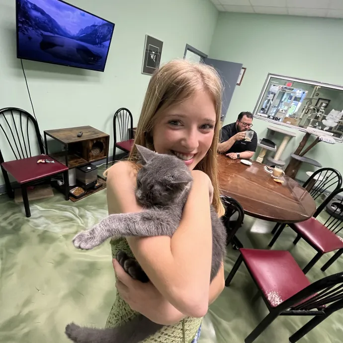 The Purrfect Person For Your Cats photo 4