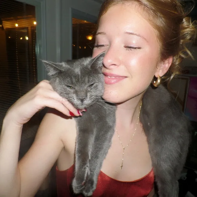The Purrfect Person For Your Cats photo 2