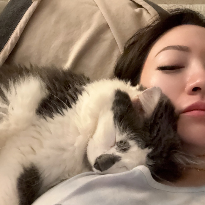 A Compassionate And Loving Cat Person