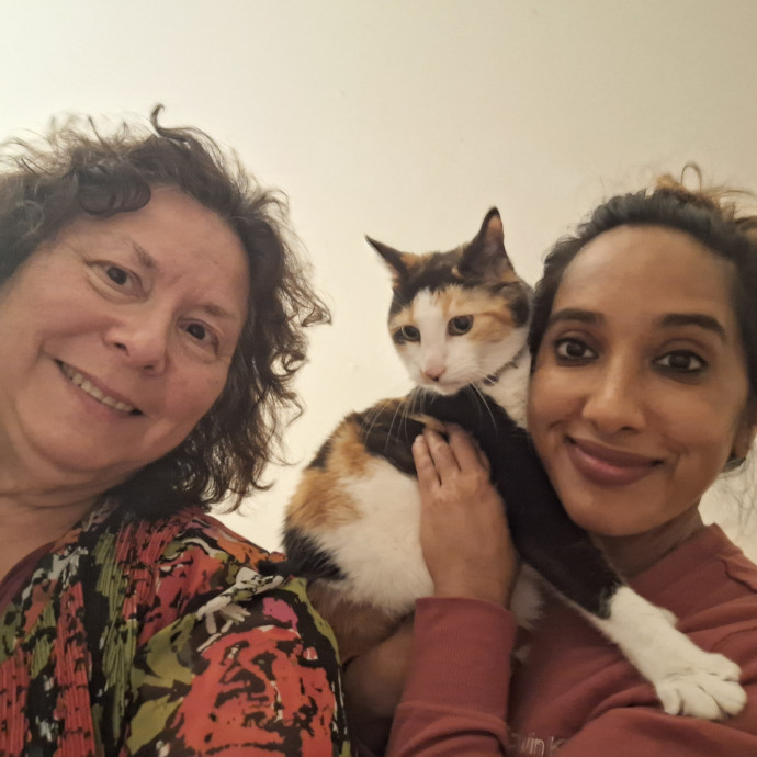 Calm Reliable Cat Care You Can Trust