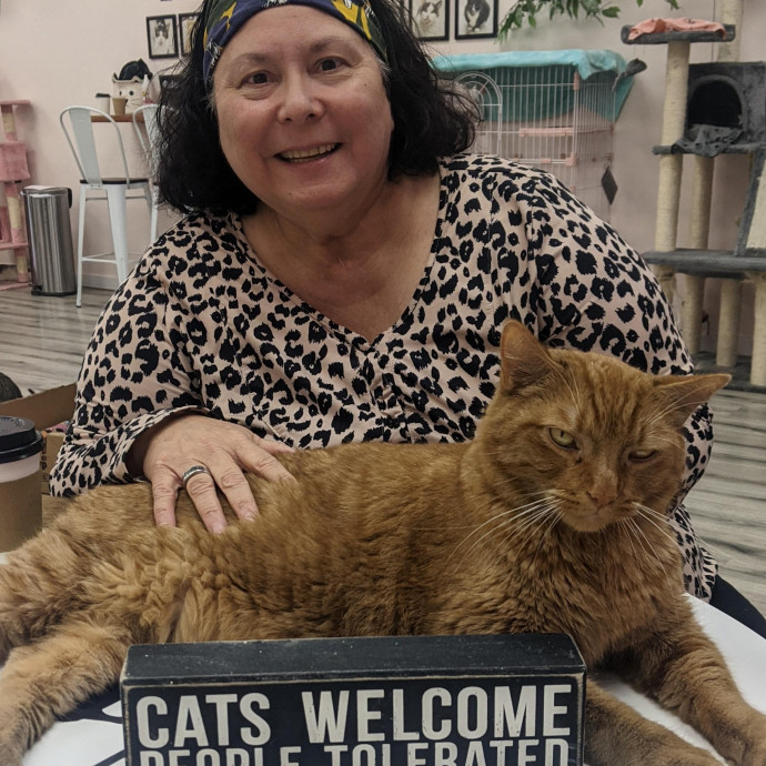 Calm Reliable Cat Care You Can Trust