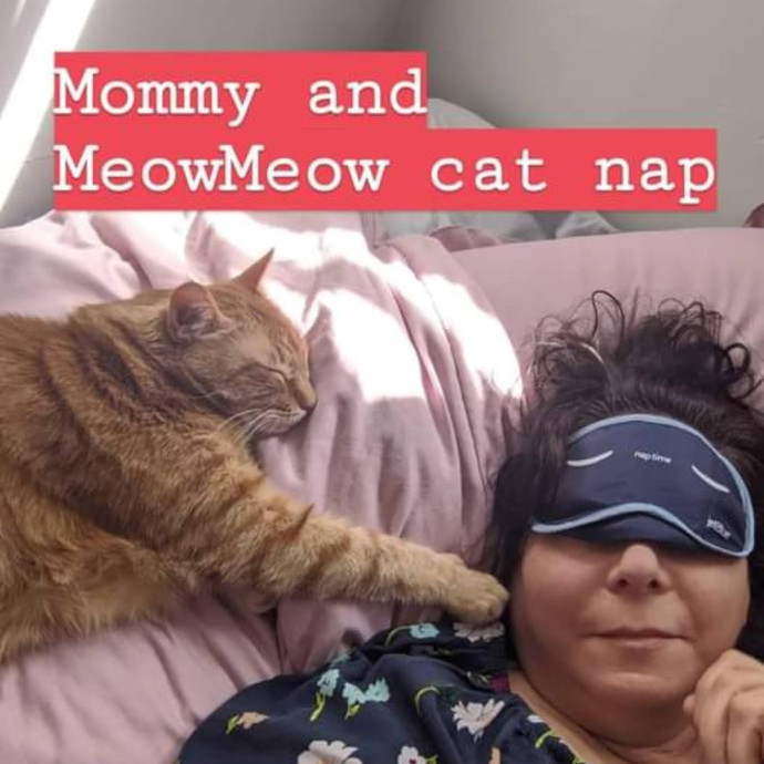 Calm Reliable Cat Care You Can Trust