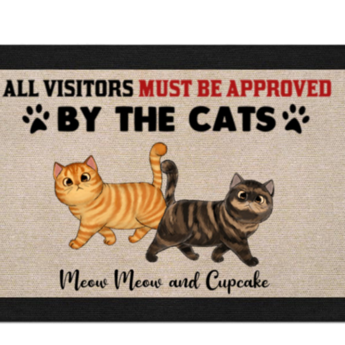 Calm Reliable Cat Care You Can Trust