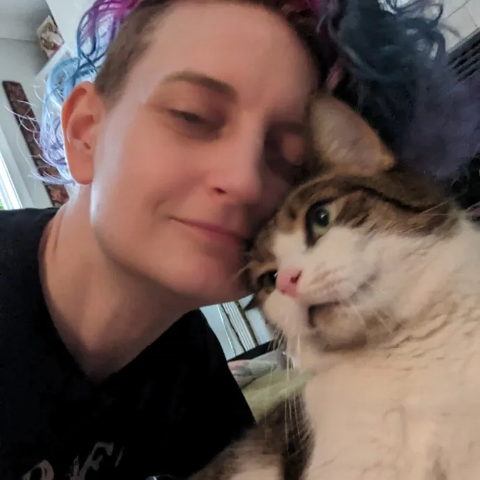 Cat Cuddler And Couch Companion