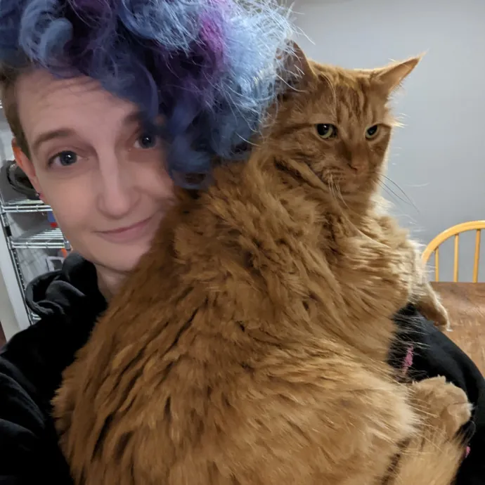 Cat Cuddler And Couch Companion