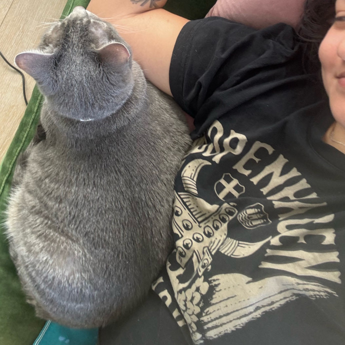Caro's Cat Care