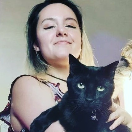 Cat Cuddles And Care Llc