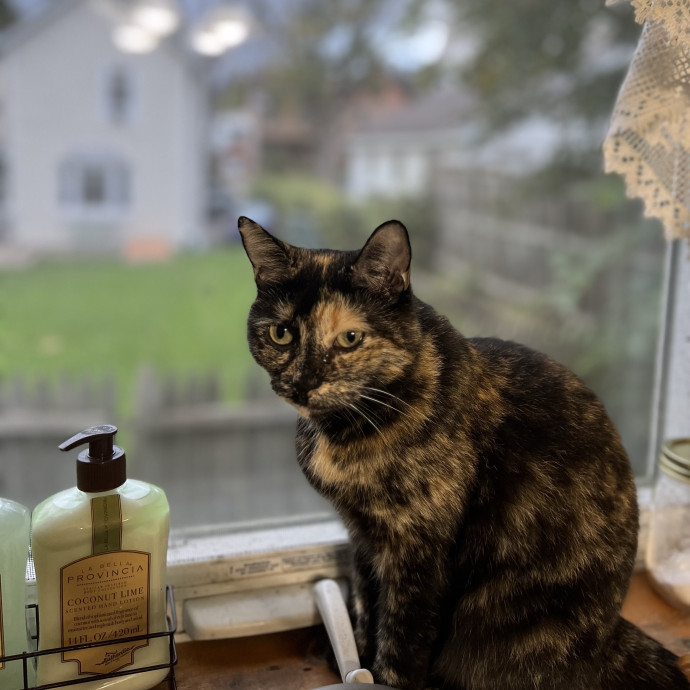 Gentle And Loving Sitter W Experience