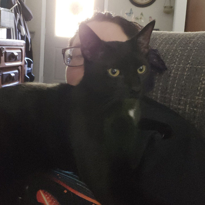 Ash's Cat Care - Ensuring Love