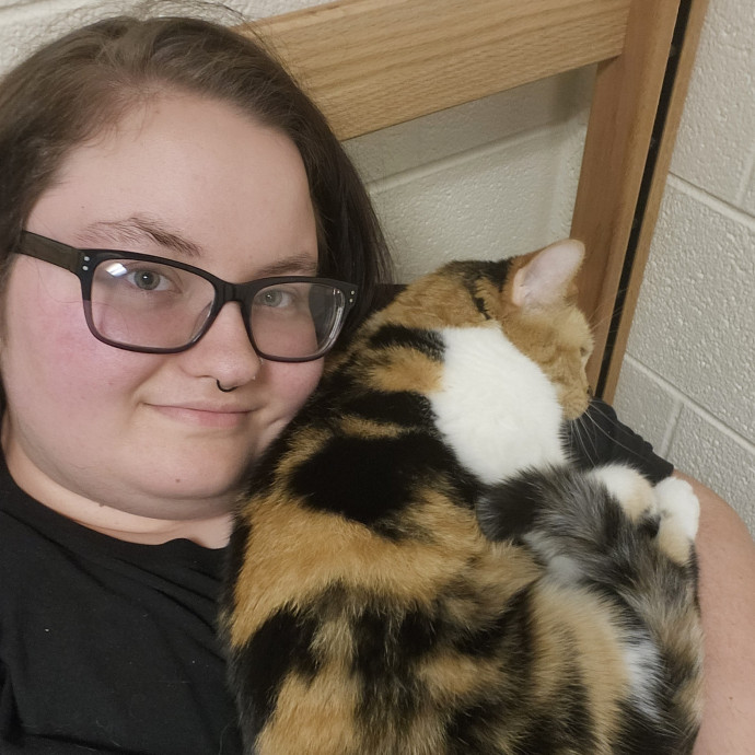 Ash's Cat Care - Ensuring Love photo 3