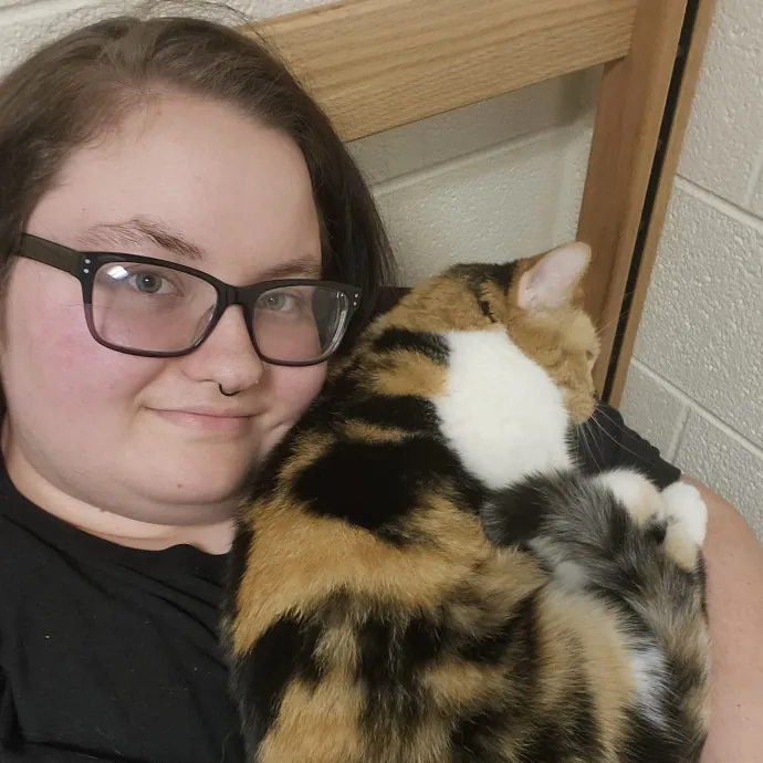 Ensuring Your Cat's Safety And Comfort photo 3
