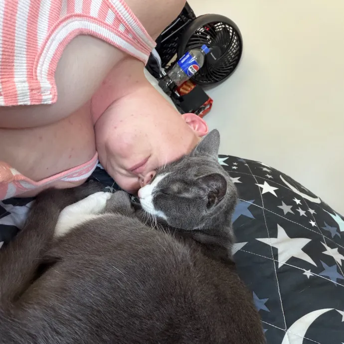 Cat Whisper Cat Mom