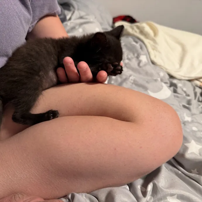 Cat Whisper Cat Mom