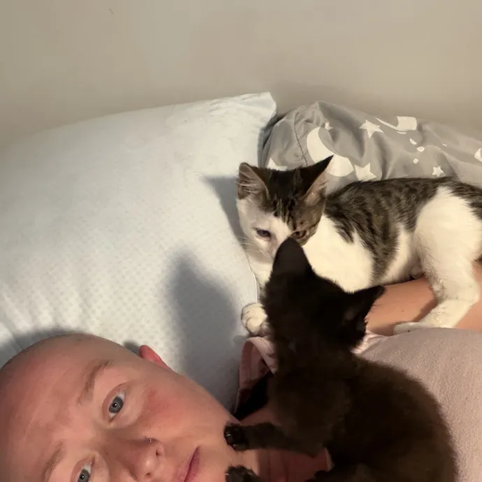 Cat Whisper Cat Mom