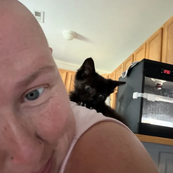 Cat Whisper Cat Mom