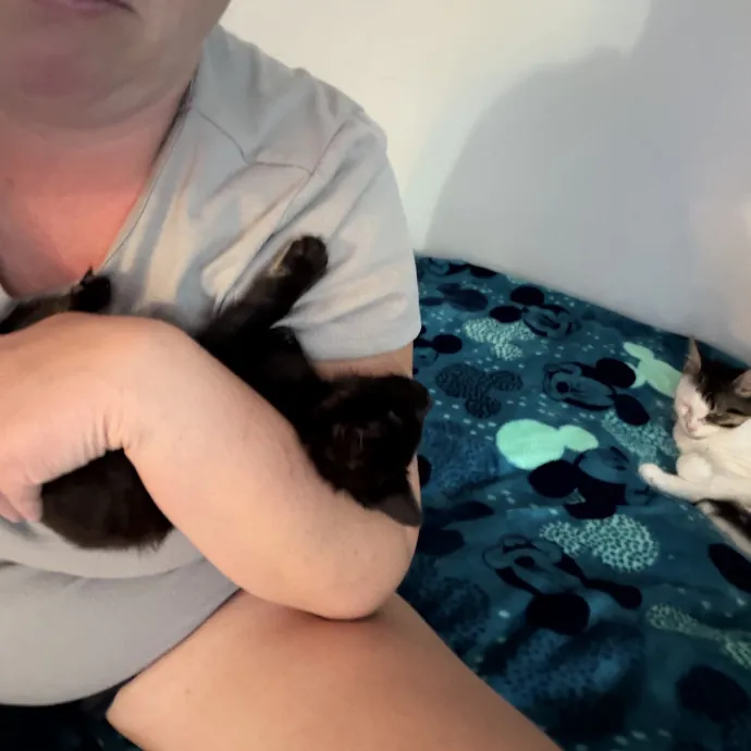Cat Whisper Cat Mom
